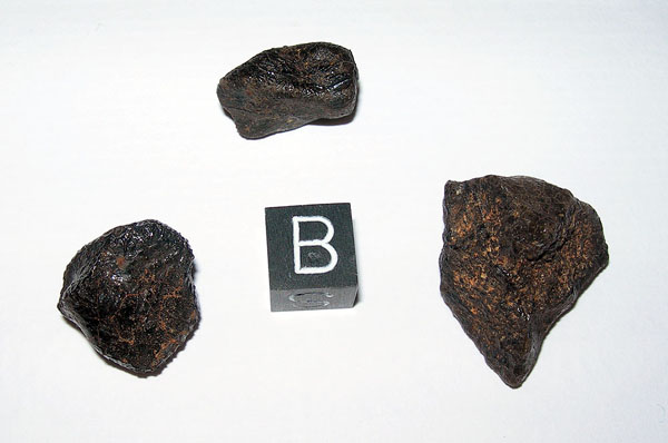 cameldonga01b